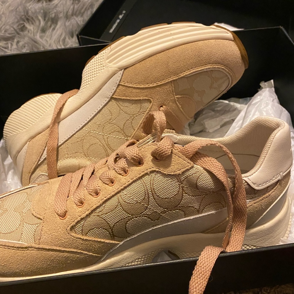 Coach trainers (women)
